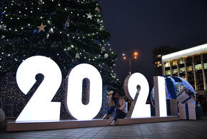 В Краснодаре на главной городской площади открыли новогоднюю елку