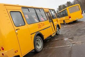 В Краснодаре прокуратура начала проверку после ДТП со школьными автобусами