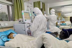 В Краснодарском крае коронавирусом заболели еще 14 детей
