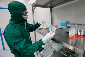 В Краснодарском крае выявлено еще 194 случая коронавируса