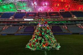 В Сочи установили самую спортивную елку в мире