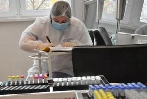 В Краснодарском крае подтверждено еще 185 новых случаев коронавируса