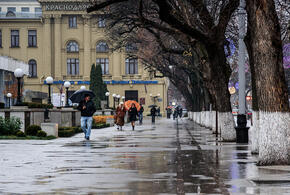 В Краснодарском крае пройдут дожди и усилится ветер