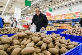 В России хотят ввести в ассортимент картофель нестандартного размера
