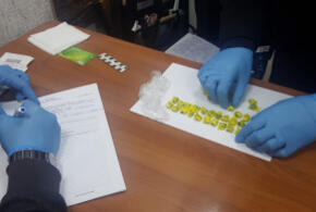 В Сочи задержаны иностранцы-наркоторговцы (ВИДЕО)