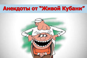 «Живая Кубань» продолжает полюбившуюся читателям рубрику «Анекдоты дня»
