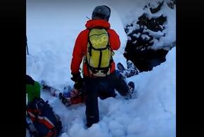 В Сочи сноубордист едва не погиб, упав в ущелье (ВИДЕО) 