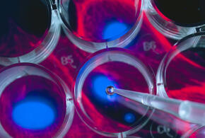 Минздрав впервые выдал разрешение на исследования клеточного продукта