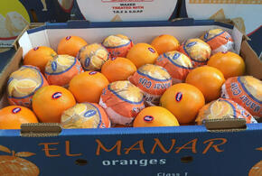 На Кубань не пустили 117 тонн апельсинов