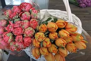Советы краснодарского флориста: какие цветы выбрать на 8 Марта