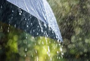 Краснодарский край продолжают поливать дожди 