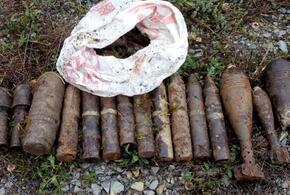 В Краснодарском крае нашли целый арсенал боеприпасов 