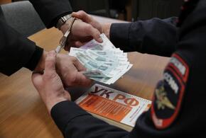 В Краснодарском крае под суд пойдет замглавы района