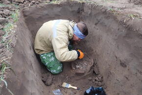 В Краснодарском крае саперы нашли захоронение средневекового воина