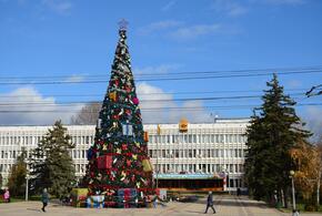 В Новороссийске ищут новогоднюю елку за полмиллиона