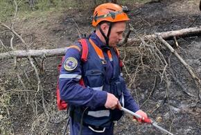В Новороссийске начался сезон лесных пожаров