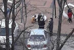 В Новороссийске новые качели оборвались вместе с детьми 