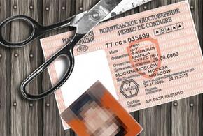 Житель Кубани распечатал водительское удостоверение на принтере 