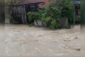 На Кубани вышедшая из берегов река затопила 12 домов ВИДЕО