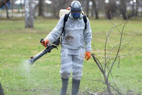 В Краснодаре начнется обработка парков от клещей и комаров