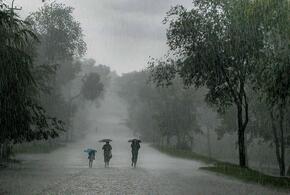 В Краснодарский край вновь придут дожди