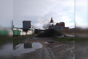В Краснодарском крае закрыли цех сахарного завода