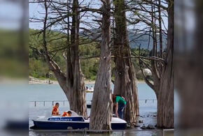 Житель Анапы призвал туристов не губить кипарисы на озере ВИДЕО