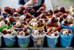 Кубанцам рекомендовали не покупать грибы на стихийных придорожных рынках