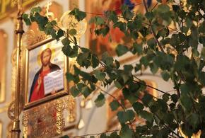 Сегодня православные христиане отмечают один из главных праздников - Троицу