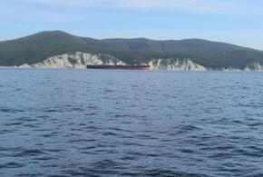 В Новоросийске Росприроднадзор  выявил новое загрязнение акватории Черного моря