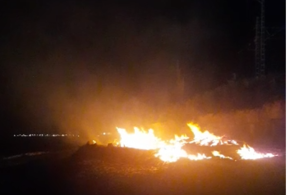 Не заморачиваясь: в поселке Шепси Туапсинского района запалили пляж ВИДЕО