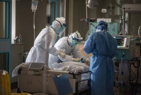 Сотни заболевших: на Кубани зафиксировано 214 случаев коронавируса