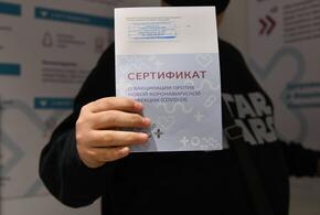 В Краснодаре поймали продавца поддельных сертификатов о ковид-вакцинации
