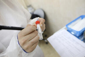 В Краснодарском крае коронавирусом заболели еще 214 человек
