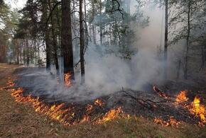 В Краснодарском крае могут вспыхнуть пожары