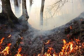 В Краснодарском крае продлили особый режим по пожароопасности