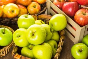 Эксперты  советуют есть яблоки, но не всем