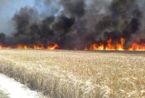 Этим летом на полях Кубани произошло 19 пожаров