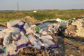 В черте Краснодара обнаружена крупная свалка медицинских отходов 