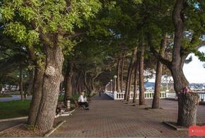 В Геленджике посчитают деревья за 5 миллионов, а Кипарисовое озеро под Анапой стало достоянием «друзей» Абрамовича: ТОП-5 за 5 августа