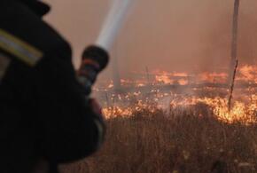 В МЧС предупредили, что на Кубани могут вспыхнуть пожары