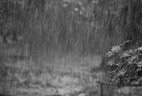 В некоторых районах Кубани пройдут дожди