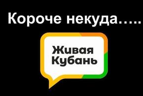 Ветуправление Краснодара не будет покупать иномарку за 4 миллиона, а на Новороссийск обрушился ливень: итоги дня за 10 августа