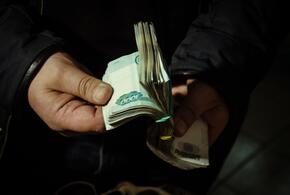 Житель Краснодара продал пенсионеру массажер и украл 20 тысяч рублей