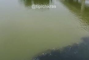 Черную жижу сливают в реку Краснодара