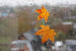 Осень придет в Краснодар уже в пятницу 