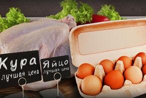 Россиян ждет повышение цен на куриное мясо и яйцо