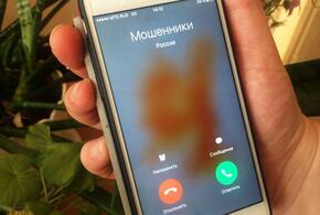 Следователи Кубани предупредили о росте телефонного мошенничества 