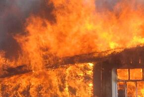 В Анапе во время пожара супруги сгорели заживо