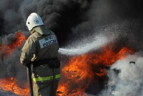 В Краснодаре сгорел автомобиль и два мусорных бака